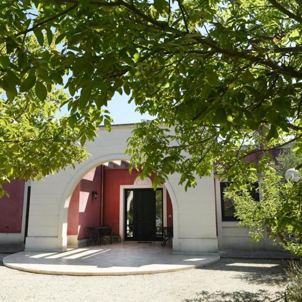 a tree in front of a building