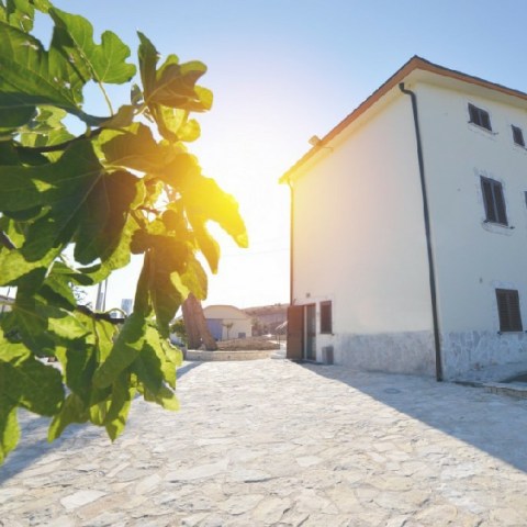 a house with trees in the background