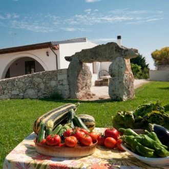 food on a picnic table