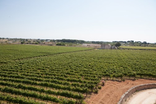 a train traveling down train tracks near a field