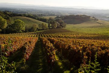 Umbrian winery