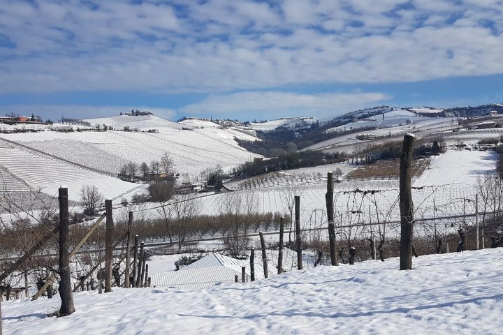 a snow covered slope