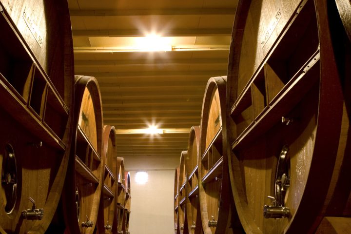 Umbrian winery barrels