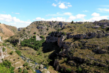 a close up of a hillside