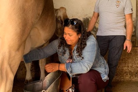 a person petting a horse