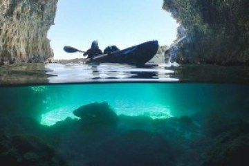 a group of people swimming in a body of water