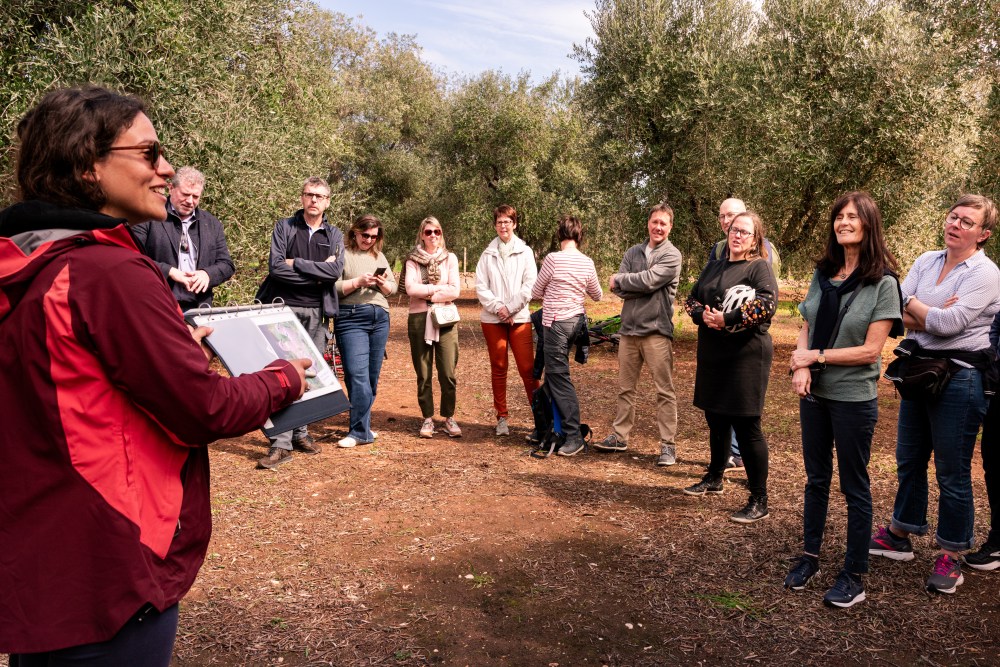 A group of people listening to a guide holding a book in an outdoor setting with trees.