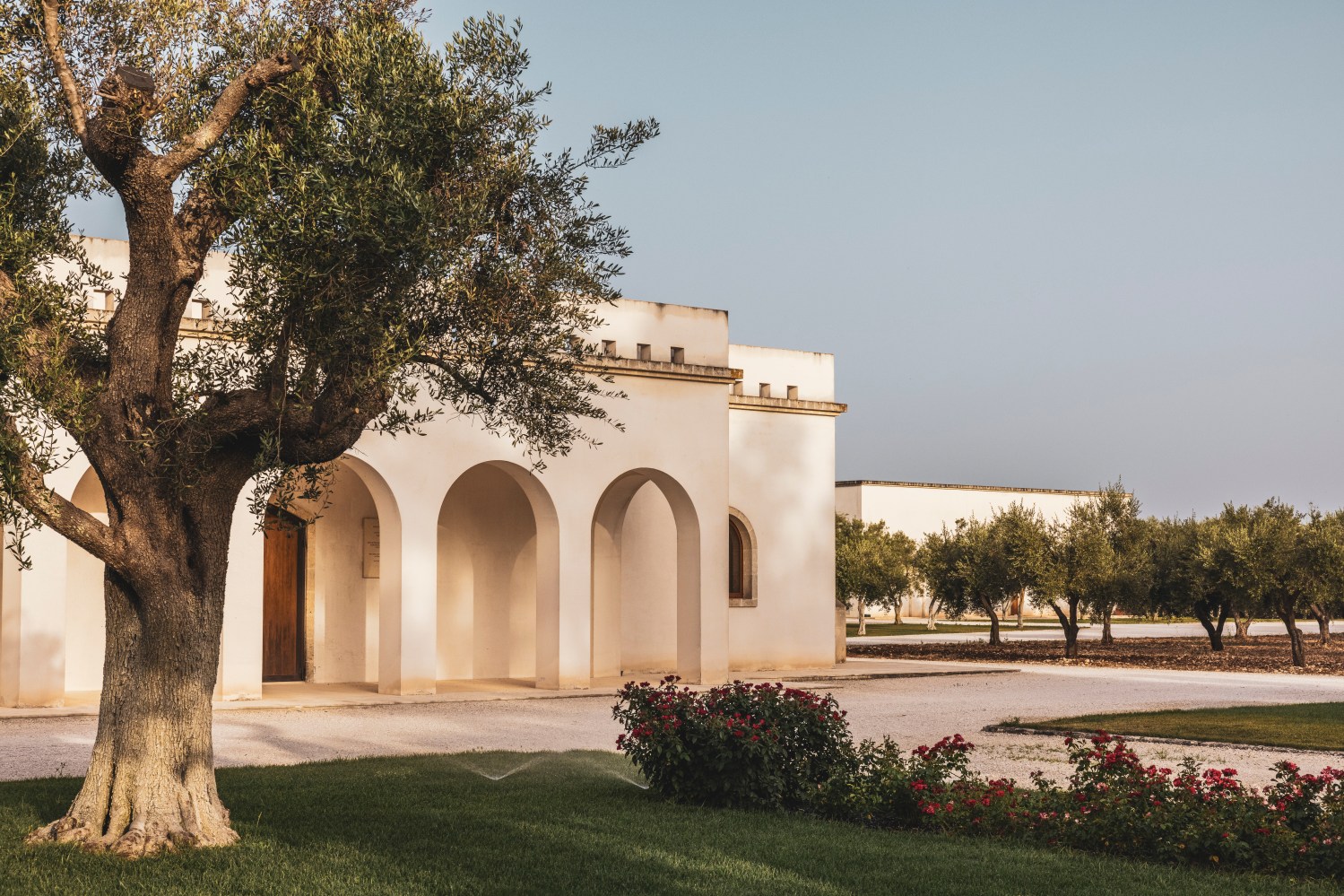 White building with arches, olive trees, and flower bushes under a clear sky.