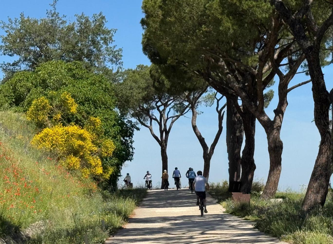 Cyclists on a tree-lined path with yellow flowers and blue sky.