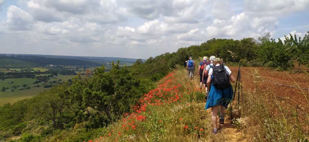 Hikers on a trail beside wildflowers and a field, with distant hills under a cloudy sky.