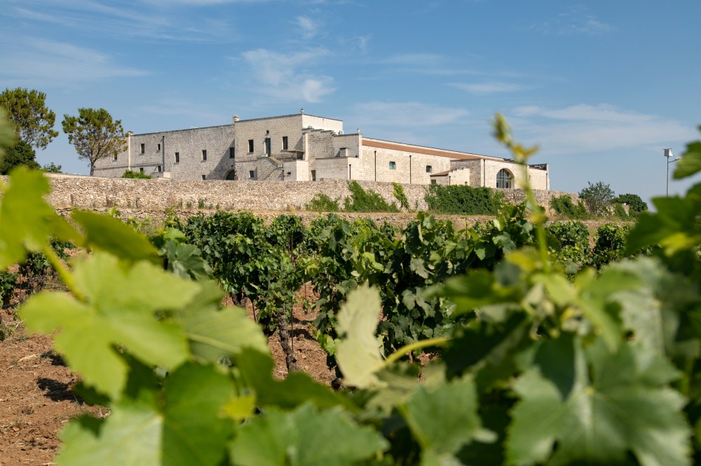 Stone building and vineyard under a blue sky