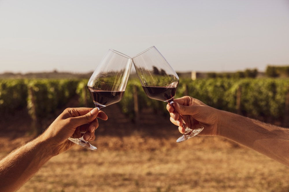 Two hands clinking wine glasses in a vineyard setting.